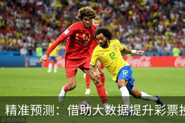 精准预测：借助大数据提升彩票投注成功率